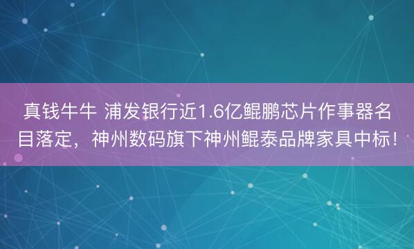 真钱牛牛 浦发银行近1.6亿鲲鹏芯片作事器名目落定，神州数码旗下神州鲲泰品牌家具中标！