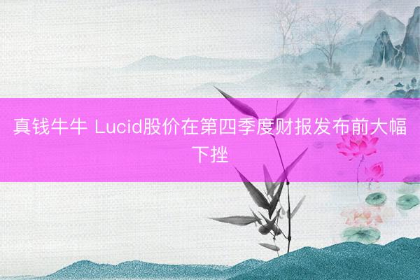 真钱牛牛 Lucid股价在第四季度财报发布前大幅下挫