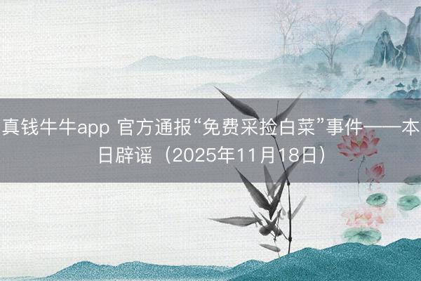 真钱牛牛app 官方通报“免费采捡白菜”事件——本日辟谣（2025年11月18日）
