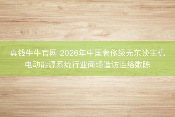 真钱牛牛官网 2026年中国奢侈级无东谈主机电动能源系统行业商场造访连络敷陈