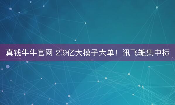 真钱牛牛官网 2.9亿大模子大单！讯飞辘集中标