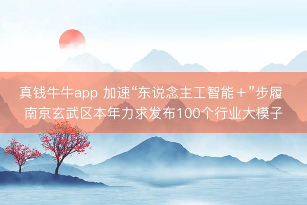 真钱牛牛app 加速“东说念主工智能＋”步履 南京玄武区本年力求发布100个行业大模子