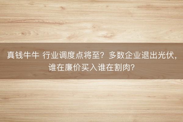 真钱牛牛 行业调度点将至？多数企业退出光伏，谁在廉价买入谁在割肉？