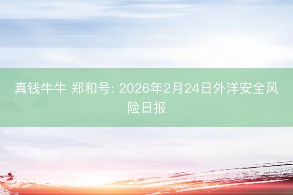 真钱牛牛 郑和号: 2026年2月24日外洋安全风险日报