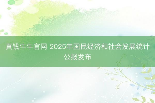真钱牛牛官网 2025年国民经济和社会发展统计公报发布