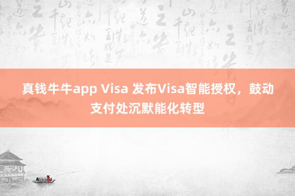 真钱牛牛app Visa 发布Visa智能授权，鼓动支付处沉默能化转型