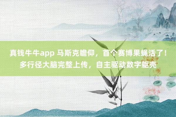 真钱牛牛app 马斯克瞻仰，首个赛博果蝇活了！多行径大脑完整上传，自主驱动数字躯壳