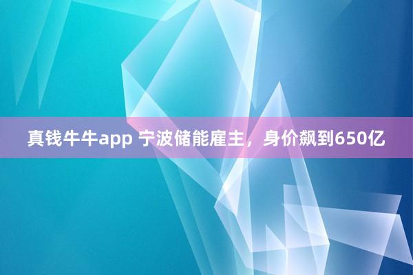 真钱牛牛app 宁波储能雇主，身价飙到650亿