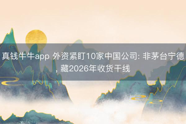 真钱牛牛app 外资紧盯10家中国公司: 非茅台宁德, 藏2026年收货干线
