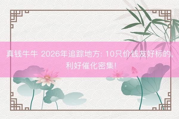 真钱牛牛 2026年追踪地方: 10只价钱友好标的, 利好催化密集!