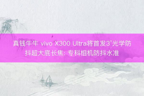 真钱牛牛 vivo X300 Ultra将首发3°光学防抖超大底长焦: 专科相机防抖水准