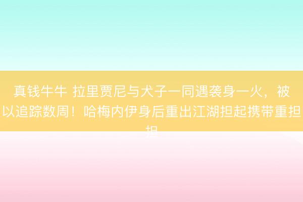 真钱牛牛 拉里贾尼与犬子一同遇袭身一火，被以追踪数周！哈梅内伊身后重出江湖担起携带重担