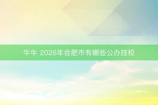 牛牛 2026年合肥市有哪些公办技校