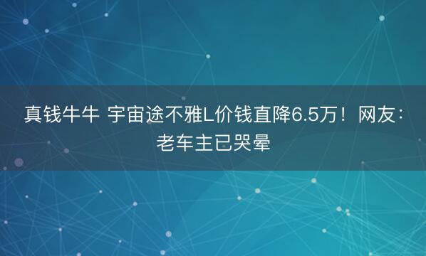真钱牛牛 宇宙途不雅L价钱直降6.5万！网友：老车主已哭晕