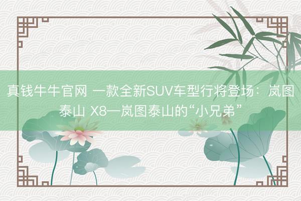 真钱牛牛官网 一款全新SUV车型行将登场：岚图泰山 X8—岚图泰山的“小兄弟”