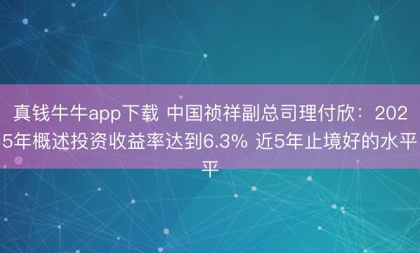 真钱牛牛app下载 中国祯祥副总司理付欣：2025年概述投资收益率达到6.3% 近5年止境好的水平