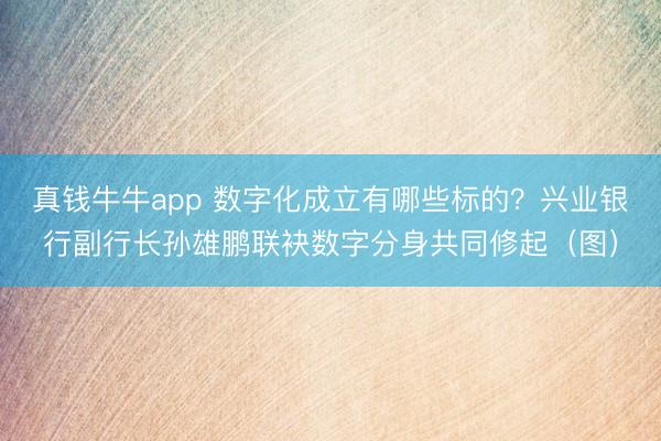 真钱牛牛app 数字化成立有哪些标的？兴业银行副行长孙雄鹏联袂数字分身共同修起（图）