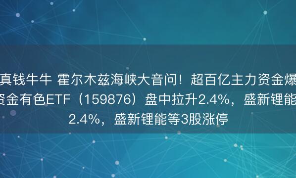 真钱牛牛 霍尔木兹海峡大音问！超百亿主力资金爆买！华宝资金有色ETF（159876）盘中拉升2.4%，盛新锂能等3股涨停