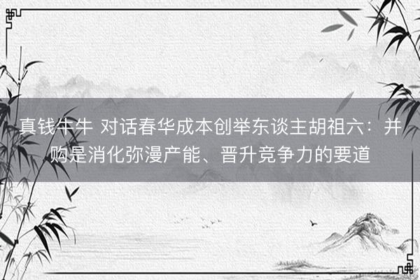 真钱牛牛 对话春华成本创举东谈主胡祖六：并购是消化弥漫产能、晋升竞争力的要道