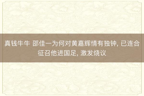 真钱牛牛 邵佳一为何对黄嘉辉情有独钟, 已连合征召他进国足, 激发烧议