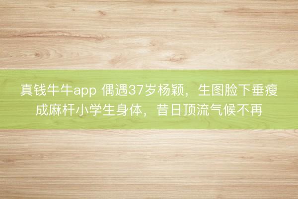 真钱牛牛app 偶遇37岁杨颖，生图脸下垂瘦成麻杆小学生身体，昔日顶流气候不再