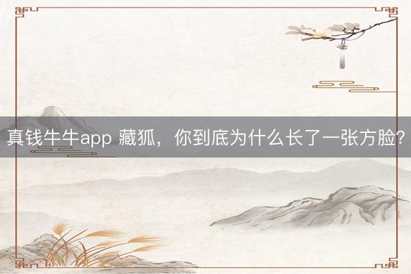 真钱牛牛app 藏狐，你到底为什么长了一张方脸？