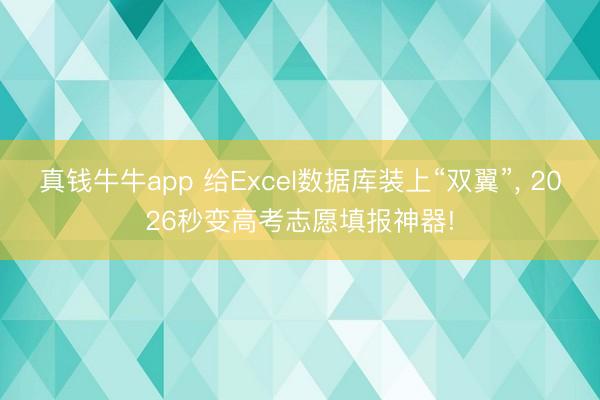 真钱牛牛app 给Excel数据库装上“双翼”, 2026秒变高考志愿填报神器!