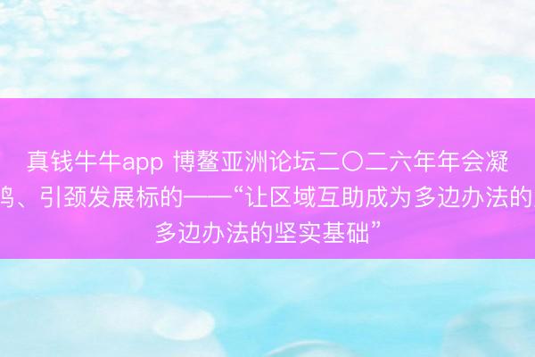 真钱牛牛app 博鳌亚洲论坛二〇二六年年会凝合各方共鸣、引颈发展标的——“让区域互助成为多边办法的坚实基础”