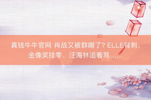 真钱牛牛官网 肖战又被群嘲了? ELLE背刺、金像奖挂零、汪海林追着骂……