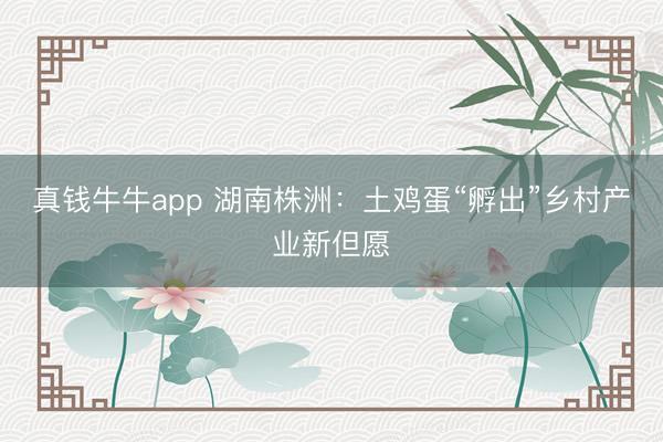 真钱牛牛app 湖南株洲：土鸡蛋“孵出”乡村产业新但愿