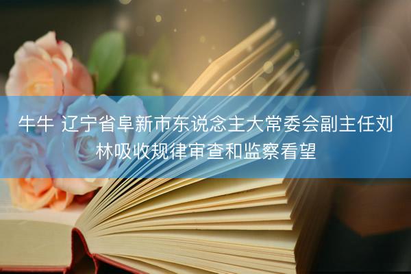 牛牛 辽宁省阜新市东说念主大常委会副主任刘林吸收规律审查和监察看望