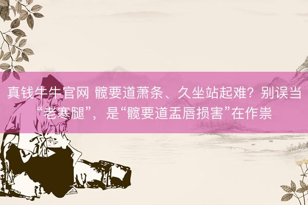 真钱牛牛官网 髋要道萧条、久坐站起难？别误当“老寒腿”，是“髋要道盂唇损害”在作祟