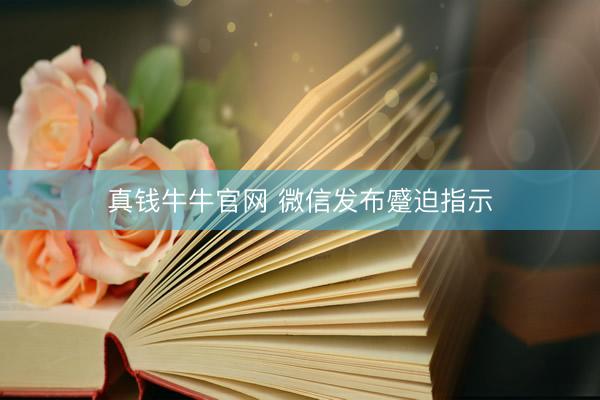 真钱牛牛官网 微信发布蹙迫指示