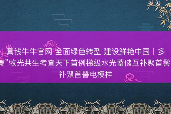 真钱牛牛官网 全面绿色转型 建设鲜艳中国丨多能“同舞”牧光共生考查天下首例梯级水光蓄储互补聚首髻电模样