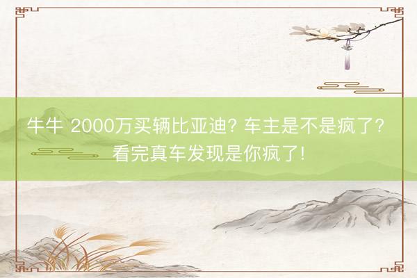 牛牛 2000万买辆比亚迪? 车主是不是疯了? 看完真车发现是你疯了!